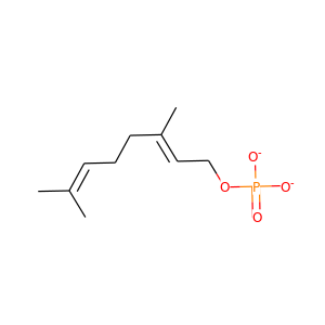 geranyl monophosphate